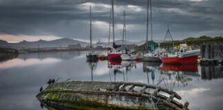 boats sailing on the sea