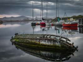 boats sailing on the sea