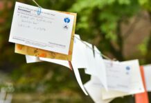 selective focus photo of hanging papers on clothes line