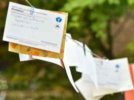 selective focus photo of hanging papers on clothes line