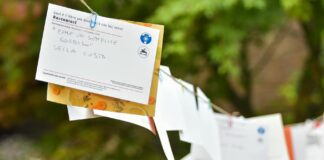 selective focus photo of hanging papers on clothes line