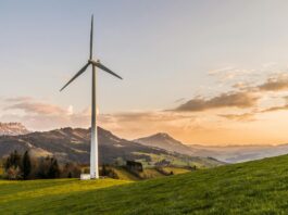 white windmill