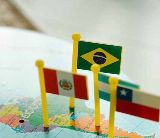 close up photo of a toy flags pinned on a map